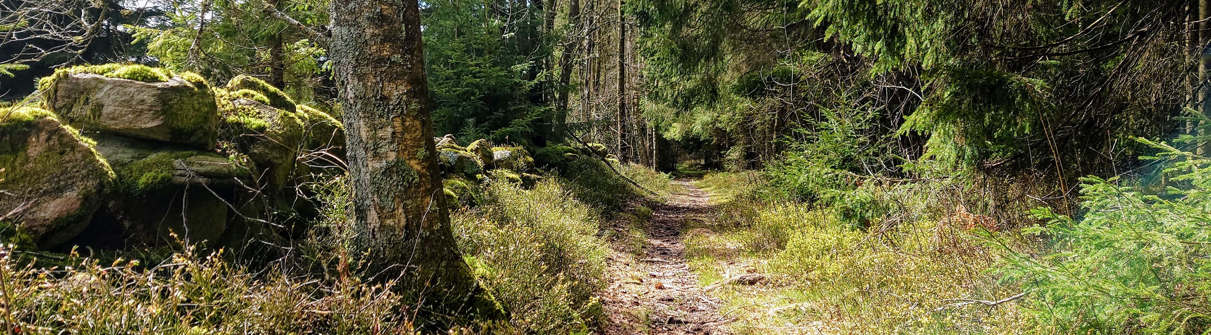 image from Navåsleden